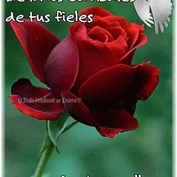 ec1ce5e66ed210c1f8b255f65ee640fe