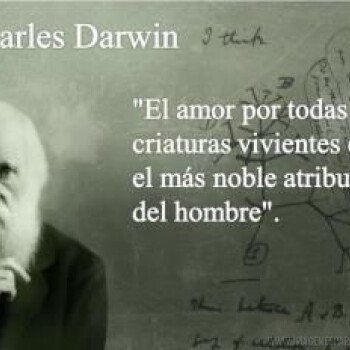 imagenes de reflexion whatsapp (1516)
