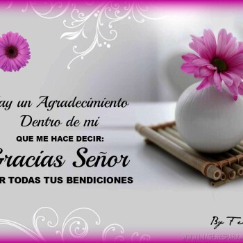 Imagenes de Agradecimiento (767)