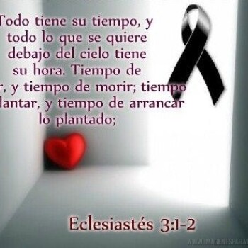 imagenes-frases-luto (812)