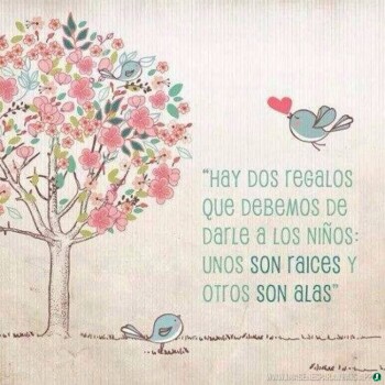 frases-verdaderas- (1557)