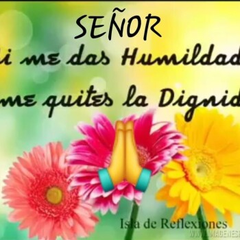 imagenes de humildad (145)