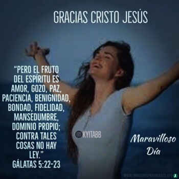 Imagenes de Agradecimiento (714)