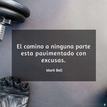Imagenes de Gimnasio (728)