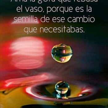 frases consejos (1241)