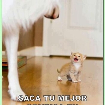 frases-verdaderas- (1622)