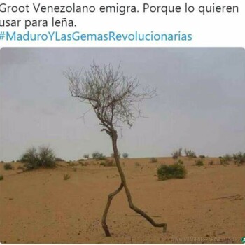 imagenes-de-memes (1010)