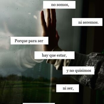 frases desamor (919)