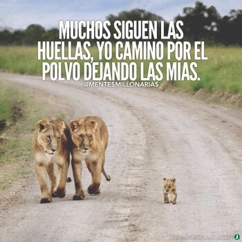 frases de exito (1076)