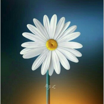 flores con frases (756)
