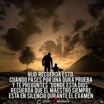 frases consejos (1303)