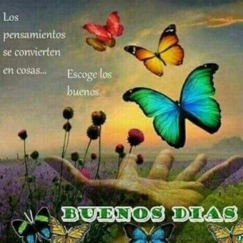 imagenes de felicidad (690)