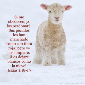 imagenes-cristianas (1774)