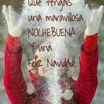 imagenes de navidad (572)
