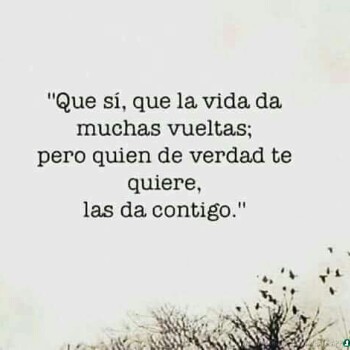 frases-verdaderas- (1707)
