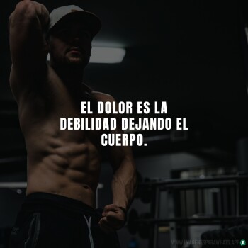 Imagenes de Gimnasio (883)