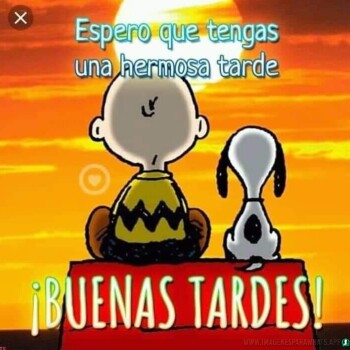 imagenes de buenas tardes (1592)