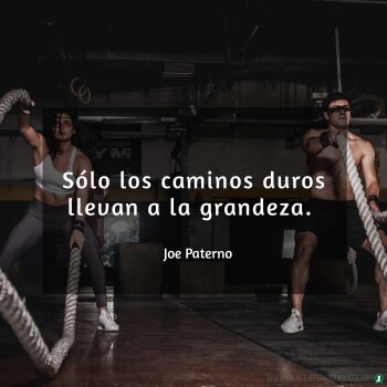 Imagenes de Gimnasio (727)