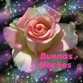 e60ca6a7b3fae28d425077acfd5f15d0