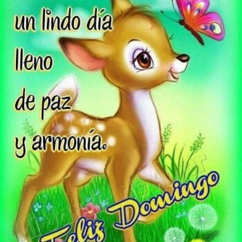imagenes de buenos dias (926)