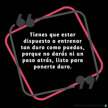 Imagenes de Gimnasio (833)