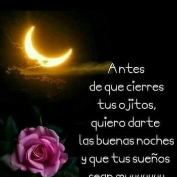 flores con frases (856)