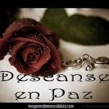 imagenes-frases-luto (852)