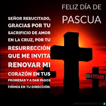 Imagenes de Agradecimiento (678)
