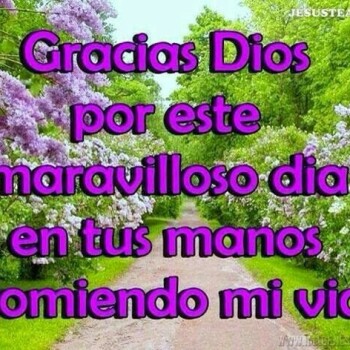 Imagenes de Agradecimiento (802)