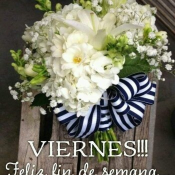 flores con frases (778)