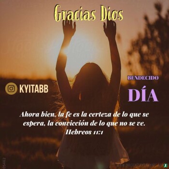 Imagenes de Agradecimiento (795)