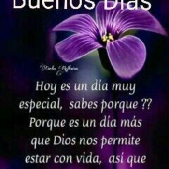 imagenes de buenos dias (913)