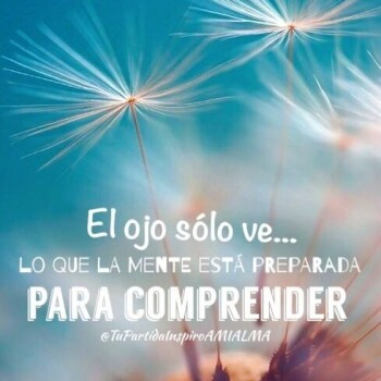 flores con frases (740)