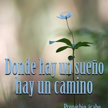 flores con frases (769)