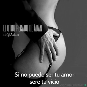 frases eroticas (1288)