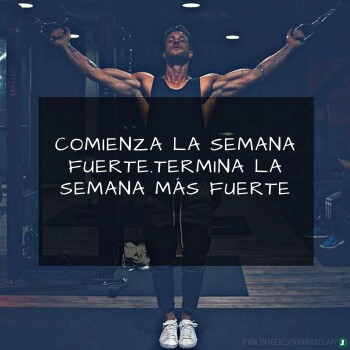 Imagenes de Gimnasio (881)