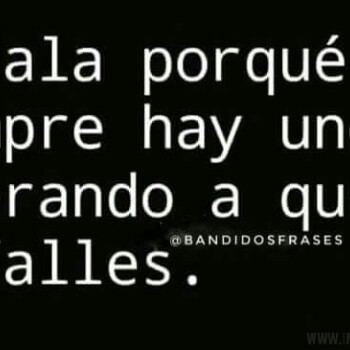 frases de exito (1211)