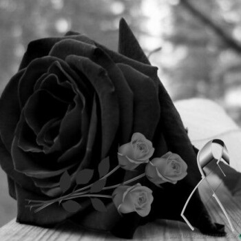 imagenes-frases-luto (813)
