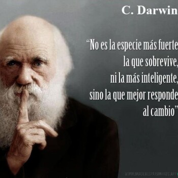 frases-de-la-vida (878)