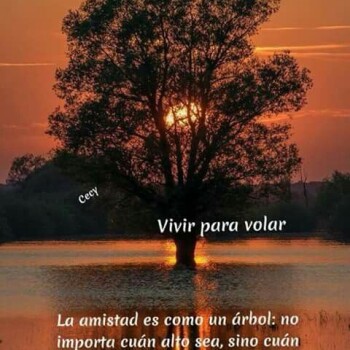 imagenes-de-amistad (1181)