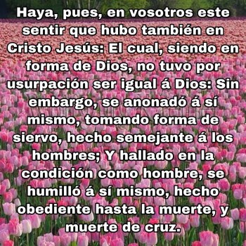 imagenes-cristianas (1750)