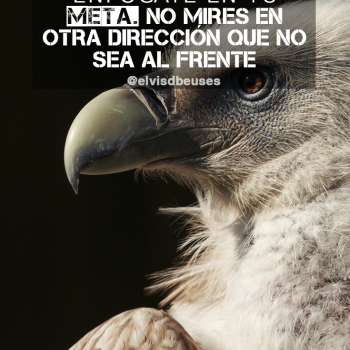 dd19bc3ae48c656c696ff182a9e6401f