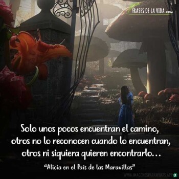 frases consejos (1205)