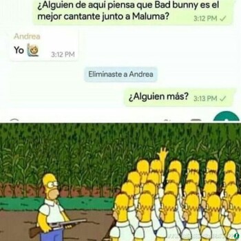 imagenes-de-memes (995)
