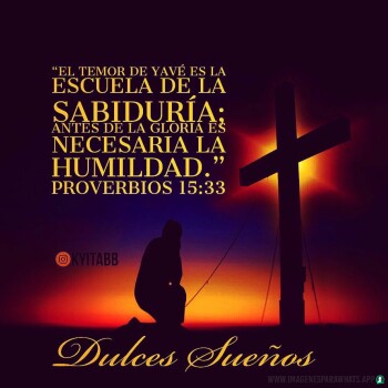Imagenes de Agradecimiento (750)