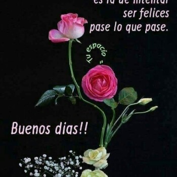 flores con frases (814)