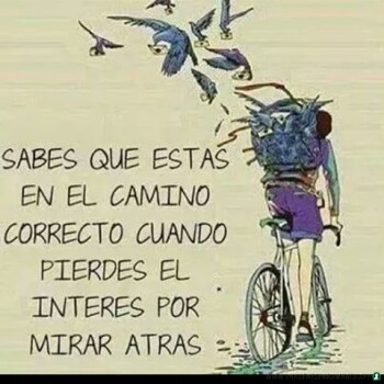 frases-verdaderas- (1618)