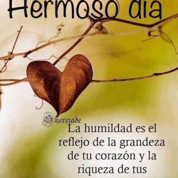 imagenes de humildad (217)