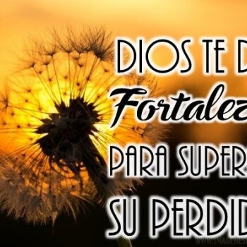 imagenes-frases-luto (862)
