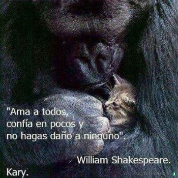 imagenes de reflexion whatsapp (1574)
